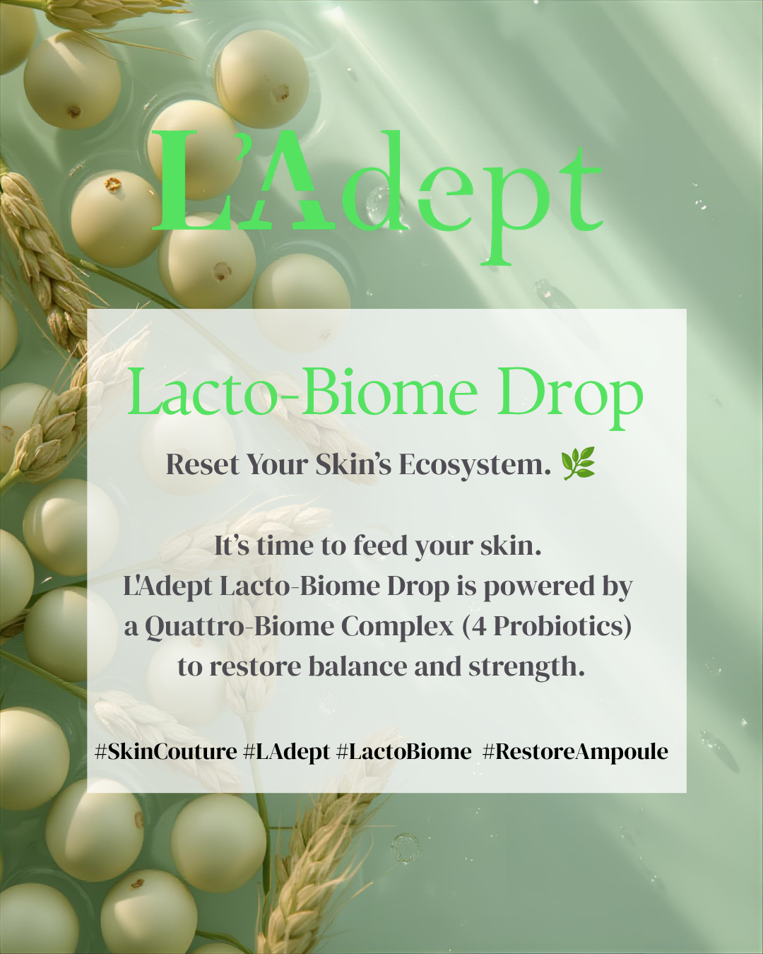 L’Adept Lacto-Biome Drop 12ml | Korean Probiotic Skin Barrier Serum